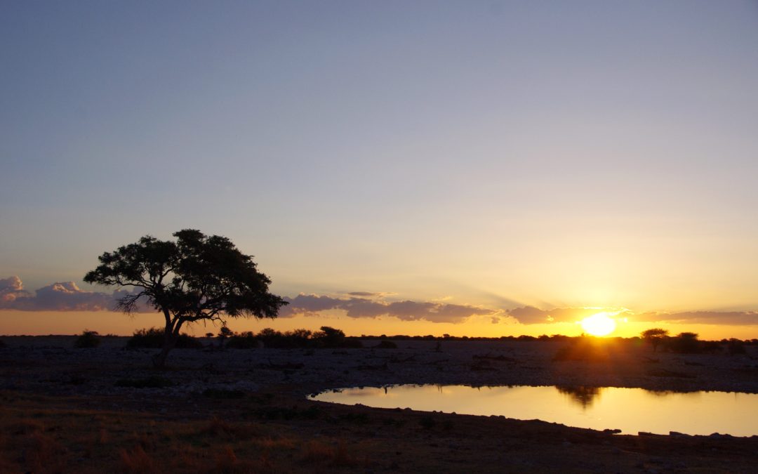 Safari w Namibii
